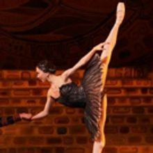 Photo Flash: SWAN LAKE Comes To Houston Ballet
