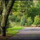 Corcadorca Revisit Fitzgerald's Park for Midsummer Production of THE NUMBERED