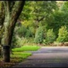 Corcadorca Revisit Fitzgerald's Park for Midsummer Production of THE NUMBERED