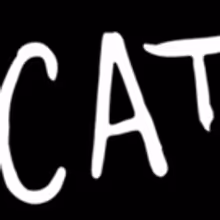 CATS Will Return To Chicago in July 2019