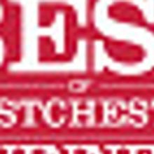 Music Conservatory of Westchester and Music in the Alps Unite for International Music