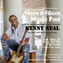 Patti Parks Presents the Nurs'n Blues Music Fest