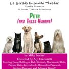 NJ Playwright, Mike Sockol's New Play PETS (AND THEIR HUMANS) Wonders What You Would…
