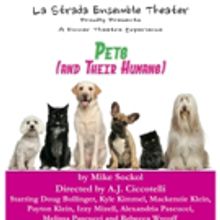 NJ Playwright, Mike Sockol's New Play PETS (AND THEIR HUMANS) Wonders What You Would…