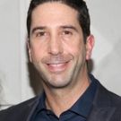 BBC Arts, BBC Films and Arts Council England Announce Feature Film LOVE, with Executive Producer David Schwimmer