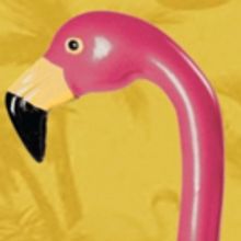 Avon Players To Present MARVIN'S ROOM