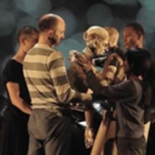 VIDEO: Preview BAM At Brooklyn Academy Of Music's Next Wave Festival