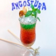 THE HOUSE OF ANGOSTURA'' Brings Custom Cocktails and Island Vibes to Austin City Limi
