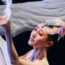 BWW Dance Review: Shanghai Dance Theatre Presents the American Premiere of SOARING WI