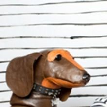 PICASSO AND HIS DOG Comes to Arts Centre Melbourne