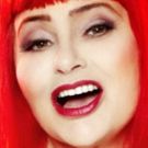 The Avenel Performing Arts Center Presents Penny Arcade's LONGING LASTS LONGER