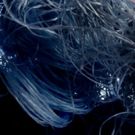 Dark Circles Announces 2018-19 Season