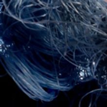 Dark Circles Announces 2018-19 Season