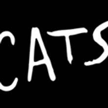 BWW Previews: CATS at Ronacher