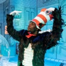 BWW Review: THE CAT IN THE HAT, Rose Theatre