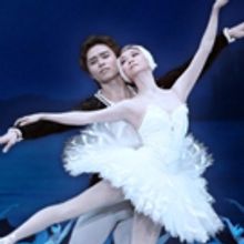 SWAN LAKE Comes To The Tokyo Ballet Today