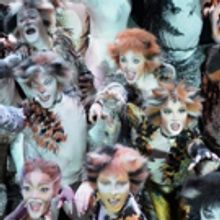 BWW Review: CATS at Rai Theater Amsterdam: the Cats are back in town!