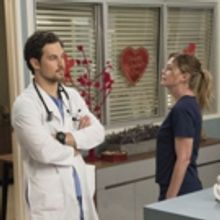 BWW Recap: GREY'S ANATOMY offers up a Big Twist a Blossoming Romance, and a Heartfelt