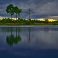 BaCA Presents Stunning Photo Exhibit 'The Everglades: Spirit Of The Land'