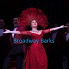 Bid Now on 2 Tickets to HELLO, DOLLY! Plus Bernadette Peters' Show-Worn Merchandise…