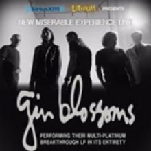Gin Blossoms Announce New Leg Of 'New Miserable Experience Live'