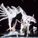 The National Ballet of Canada Posts Surplus for Ninth Consecutive Season