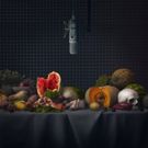 Donmar Warehouse Announces Two New Productions As Part Of Josie Rourke's Final Season
