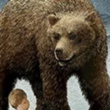 The Shakespeare Theatre Of New Jersey Presents THE WINTER'S TALE
