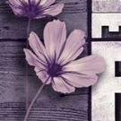 THE COLOR PURPLE Comes To Players By The Sea This Fall