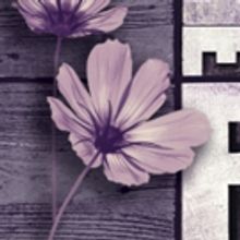 THE COLOR PURPLE Comes To Players By The Sea This Fall