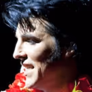 Guest Blog: Steve Michaels On THIS IS ELVIS
