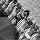 Southampton Arts Center Announces 'ICP Talks' With Photographers