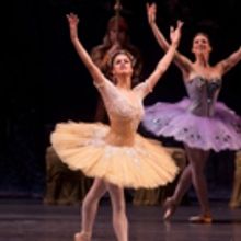 BWW Review: Was ABT's La Bayadere Worth Studying Three Times?