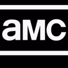 The Cast and Producers of AMC's THE WALKING DEAD, FEAR THE WALKING DEAD, & PREACHER…