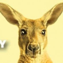 BWW REVIEW: A Hilarious Glimpse At Small Town Planning And Politics Plays Out In AUST