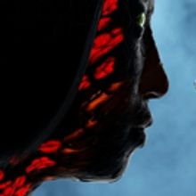 The Shed Premieres DRAGON SPRING PHOENIX RISE