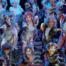 BWW Review: CATS at Palais 12