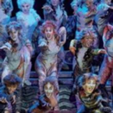 BWW Review: CATS at Palais 12