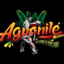 BWW Review: AGUANILE at Casa E
