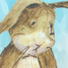 THE VELVETEEN RABBIT Hops Into No Boundaries Youth Theater