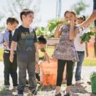 Pampered Chef Aims To Provide Cooking Education To 150,000 Students, Donating 2,000…