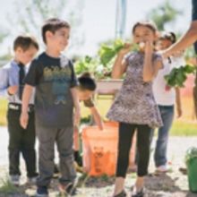 Pampered Chef Aims To Provide Cooking Education To 150,000 Students, Donating 2,000 C