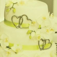 THE CAKE Comes To Cape Fear Regional Theatre Next Spring