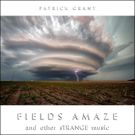 Composer/Performer Patrick Grant Releases FIELDS AMAZE and other sTRANGE music