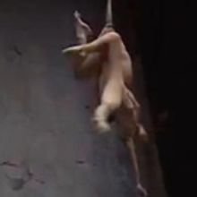 VIDEO: A Closer Look: Bence Vági on Non Solus