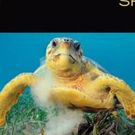Playhouse Square Welcomes National Geographic Live! Speaker Series