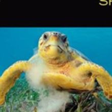 Playhouse Square Welcomes National Geographic Live! Speaker Series