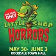 BWW REVIEW: Rockdale Musical Society's LITTLE SHOP OF HORRORS Showcases Some Great Ne