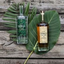 Copal Tree Distillery Launches Copalli Rum