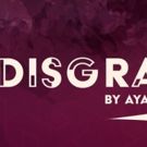 Pulitzer Prize-Winning DISGRACED at the Virginia Stage Company Comes with Extensive…